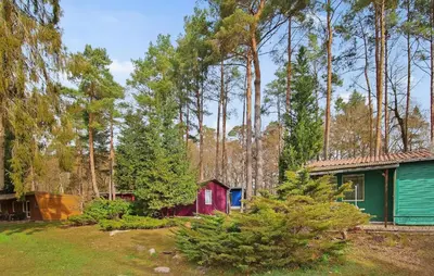 Ein Garten an der Unterkunft Fh Brombeere