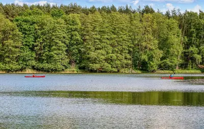 Naturlandschaft in der Nähe der Ferienwohnung