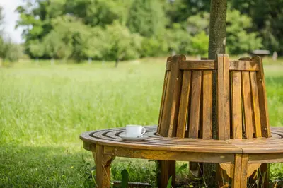 Ein Garten an der Unterkunft Apartment Premium im Gustav Seitz Gästehaus