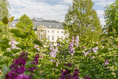 Ein Garten an der Unterkunft Apartment Premium family im Gustav Seitz Gästehaus
