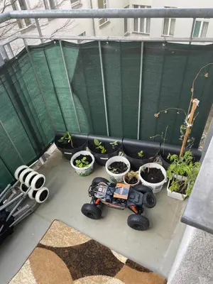 Ein Garten an der Unterkunft Dikmen Altorigo family home Berlin