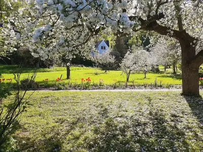 Ein Garten an der Unterkunft Die Malche Gäste und Tagungshaus 27