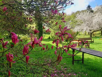 Ein Garten an der Unterkunft Die Malche Gäste und Tagungshaus 27