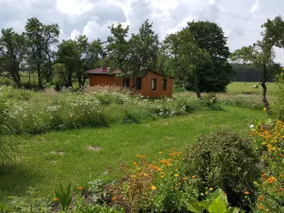 Ein Garten an der Unterkunft Bungalow nahe Lübbesee