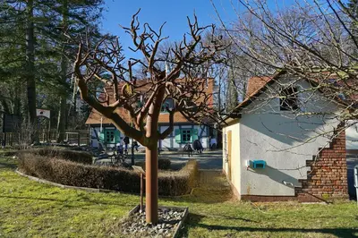 Ein Garten an der Unterkunft Apartment 5 - Gourmetzimmer