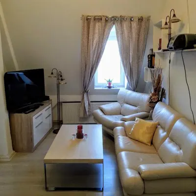 TV/Unterhaltungsangebot in der Unterkunft Schwarzer Adler Ferienwohnung mit 3 Schlafzimmer, WZ, Küche, Bad