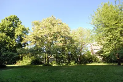 Ein Garten an der Unterkunft Berlin Habitat