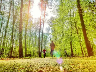 Gäste, die in der Unterkunft Bungis - 28 Ferienhäuser Am Grimnitzsee G2 übernachten